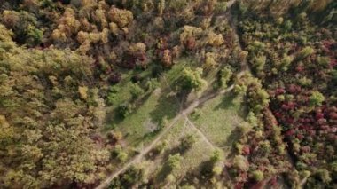 Ağaçlar ve ormanlar arasındaki konut binaları, bir sürü ormanı ve dronu olan şehir.