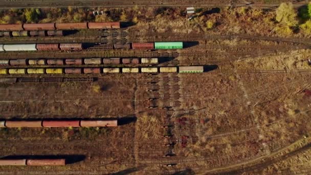 Spoorwegsorteerstation bij zonsondergang. Veel wagons en spoorbanen — Stockvideo