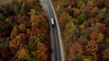 Güzel renkli bir ormanda ilerleyen bir kamyoneti olan düz asfalt bir yol. 