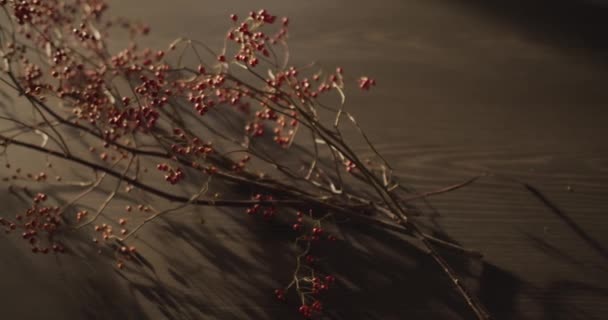 Une branche de mûre magnifiquement placée, décoration sur la table, lumière du matin — Video