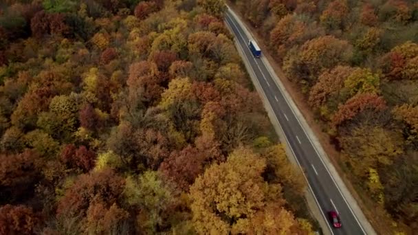 Route pavée droite avec un camion se déplaçant sur une belle forêt colorée 