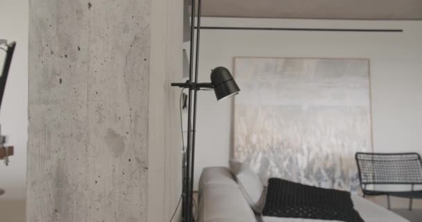 Design minimalista, sala de estar apartamento real com uma grande pintura moderna — Vídeo de Stock