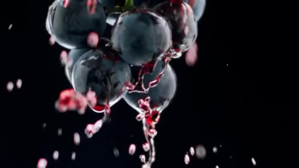 Bayas de uvas azules filmadas de cerca vino tinto y negro que fluye sobre la uva — Vídeo de stock