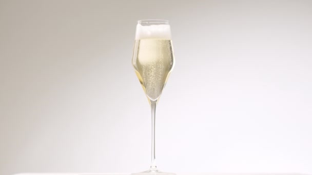 Des bulles d'air s'élèvent dans une coupe de champagne moderne sur fond blanc — Video