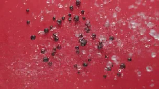 Uvas negras maduras caen sobre un fondo rojo con agua, concepto de frutas de diseño — Vídeos de Stock