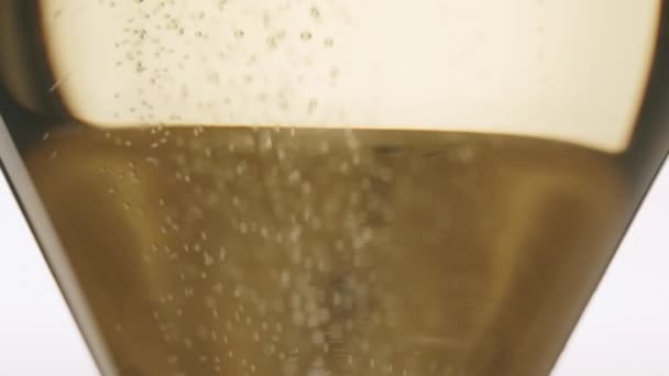 Champán se vierte en una elegante copa sobre fondo blanco, burbujas de aire — Vídeos de Stock