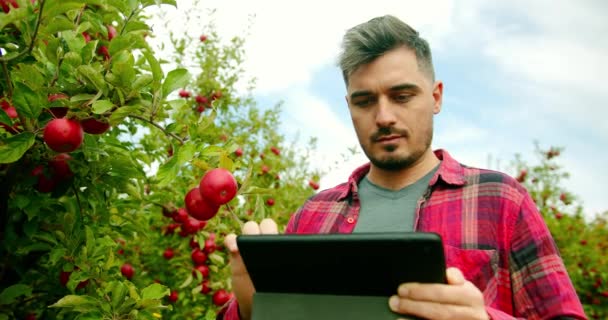 Farmer with tablet. Harvest inspection. Agronomist is using digital tablet — стоковое видео