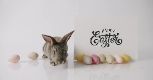 Mały Królik bawi się napisem Szczęśliwej Wielkanocy. Z wieloma jajami — Wideo stockowe