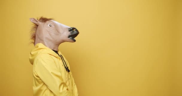 Uomo con maschera di cavallo sta pregando, stanco, confuso su sfondo giallo. Giornata degli stupidi — Video Stock