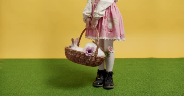 Kleines Mädchen in rosa Kleid hält einen Korb mit einem Hasen in der Hand auf grünem Gras — Stockvideo