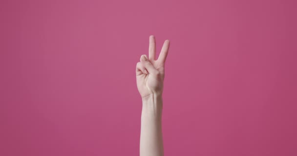 Young beautiful girl makes victory symbol with hand on isolated pink background — Stock Video