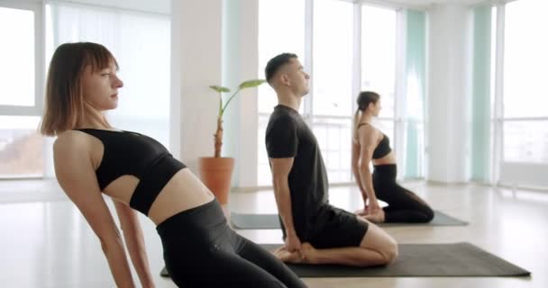 Jonge diversiteit sportieve mensen oefenen yoga les op Yoga Club — Stockvideo