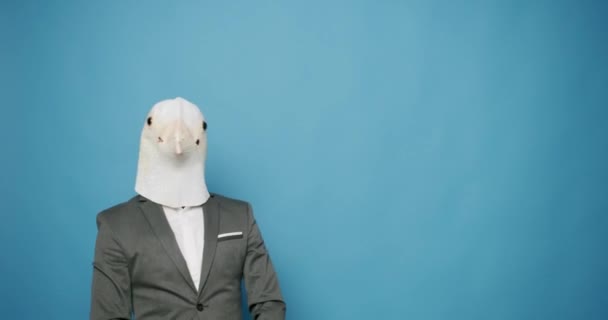 Happy Guy de terno cinza Dança com máscara de pombo em fundo azul. Dia dos tolos. — Vídeo de Stock