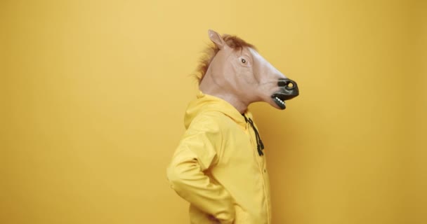 L'uomo con la maschera da cavallo ha un'idea ed è felice. Vincere, come dire. Giornata degli stupidi — Video Stock