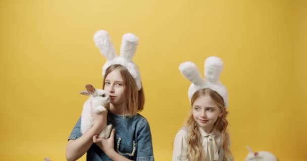 Cute girls with rabbit ears playing with the rabbit on an isolated background — Stock Video