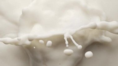 Kare çikolatanın erimiş yoğurdun içine düşmesi ve Crown ve Circular Dalgalanması