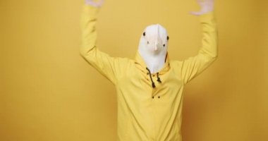 Güvercin maskeli kafası karışmış bir adam ellerini başının üstüne koyar. Aptallar Günü. Şok oldum..