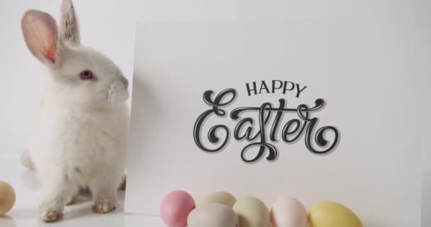 Um coelhinho branco está brincando com muitos ovos. inscrição Feliz Páscoa. — Vídeo de Stock