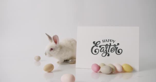 Mały biały królik bawi się wieloma jajami. napis Wesołych Świąt. — Wideo stockowe