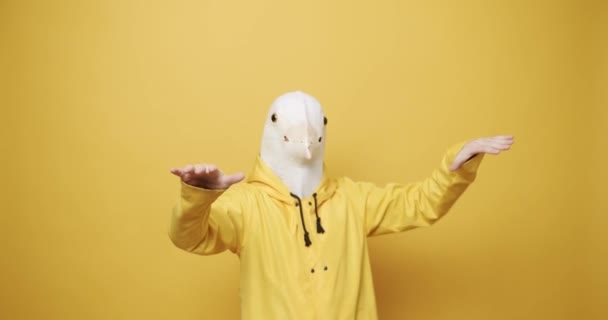 Happy Guy těší tanec s holubí maskou na žlutém pozadí. Bláznivý den. — Stock video