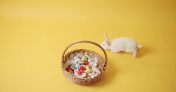 Biały królik na żółtym, izolowanym tle bawi się koszem i jajkami — Wideo stockowe