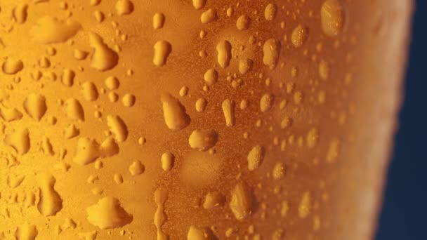 The light passes behind the glass of beer, air bubbles can be seen in the glass — Video Stock