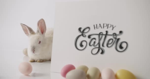 Un piccolo coniglio bianco sta giocando con molte uova. iscrizione Buona Pasqua. — Video Stock