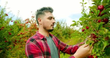 Elma bahçesinde tablet kullanan çiftçi gülümseyip kameraya bakıyor. 