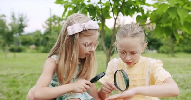 Een tienermeisje kijkt door het vergrootglas naar de microwereld van insecten — Stockvideo