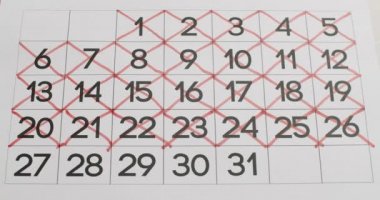 Takvim 26,27,28,29,30 Ayın 31. Tarihi Çizildi. Takvimdeki Günler