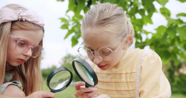 Une adolescente regarde à travers la loupe le micro monde des insectes — Video