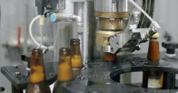 Cinta transportadora en fábrica de botellas. Botellas de cerveza en producción y embotellado. — Vídeos de Stock