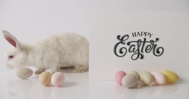 Ein kleines weißes Kaninchen spielt mit vielen Eiern. Inschrift Frohe Ostern. — Stockvideo