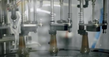 Şişe fabrikasında taşıma bandı. Bira şişeleri üretimde ve şişelemede. 