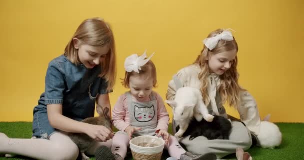 Çocuklar tavşanlarla oynar ve sarı arka planda bir sepet yumurta tutarlar. — Stok video