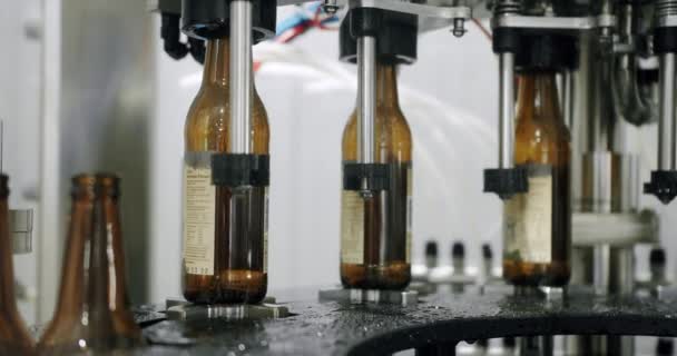 Cinta transportadora en fábrica de botellas. Botellas de cerveza en producción y embotellado. — Vídeos de Stock