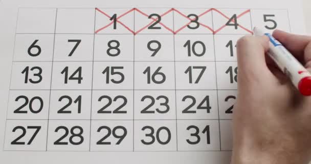 Mano de hombre Anota todo el día en el calendario de papel usando un bolígrafo rojo. — Vídeo de stock