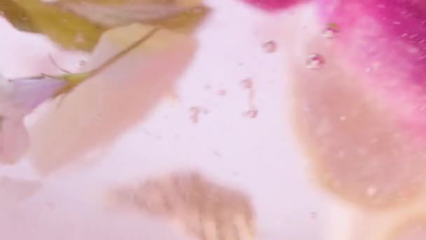 Slow Motion Makro shot z plasterka cytryny w bańce wody, Picie zimnej lemoniady — Wideo stockowe
