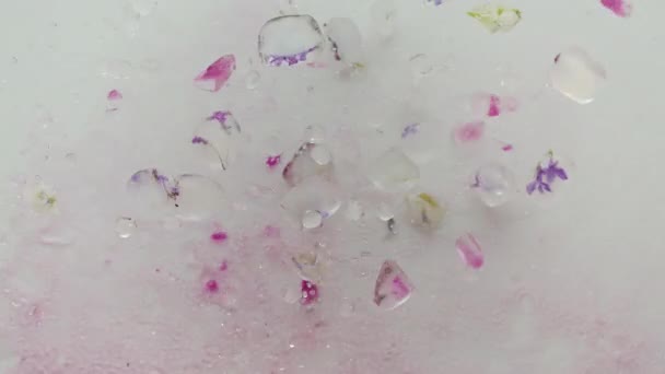 Fowers im Eis springen und fallen mit Eiswürfeln auf weißem Hintergrund. Sommercocktail. — Stockvideo
