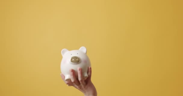Uma jovem feliz tem uma caixa de dinheiro bonito Piggy Bank. Poupar dinheiro em sua mão. — Vídeo de Stock