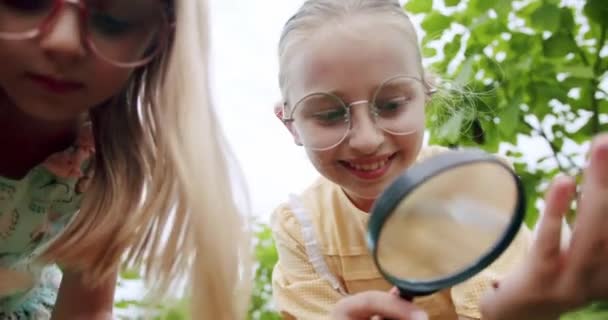 Девочки-подростки смотрят сквозь увеличительное стекло на микромир насекомых — стоковое видео