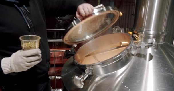 Bira üretimi bira fabrikasındaki büyük değirmen tankına malt taneleri döküyor. — Stok video