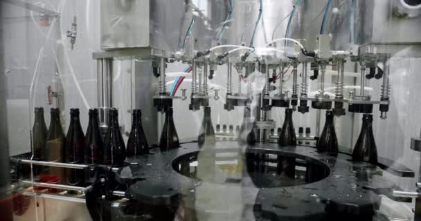 병에 담기 위한 전체 맥주 병마개를 찍는 과정 . 공장 맥주 양조장을 위한 기계 — 비디오
