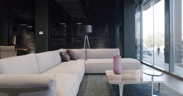 Sofá moderno gris beige. Casa moderna y acogedora. Apartamento de lujo. — Vídeo de stock