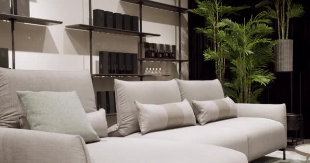 Nowoczesna, beżowa sofa. Tekstylna sofa tapicerska z poduszkami. Apartament typu Loft — Wideo stockowe