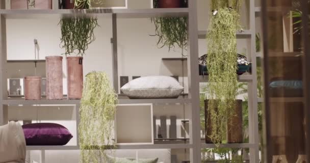 Casa de luxo com estante elegante e simples. Silenciosa minimalista — Vídeo de Stock