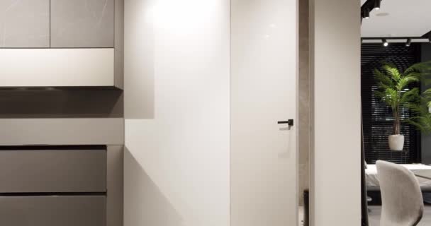 Modern bir evde minimalist beyaz bir kapı. Beyaz modern kapısı olan modern bir daire. — Stok video