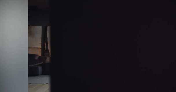 現代的なミニマリストのインテリアデザイン、黒、グレーのトーンのリビングルーム — ストック動画