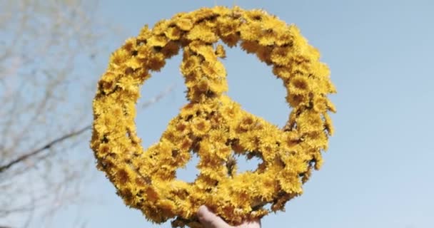 Mans hand hold inhand The symbol of peace from yellow dandelion flowers — Αρχείο Βίντεο