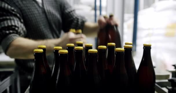 Пластикові ящики, повні свіжозварених пляшок пива на заводському конвеєрі . — стокове відео